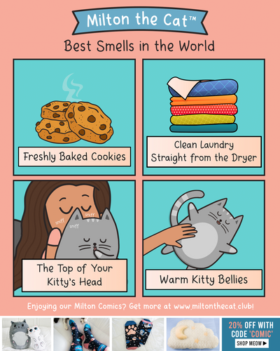 The Best Smells in the World