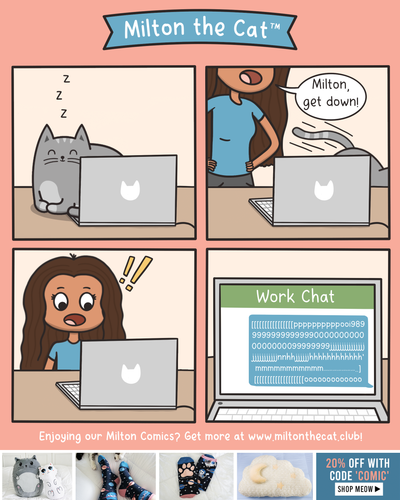 Sorry, That Was My Cat!
