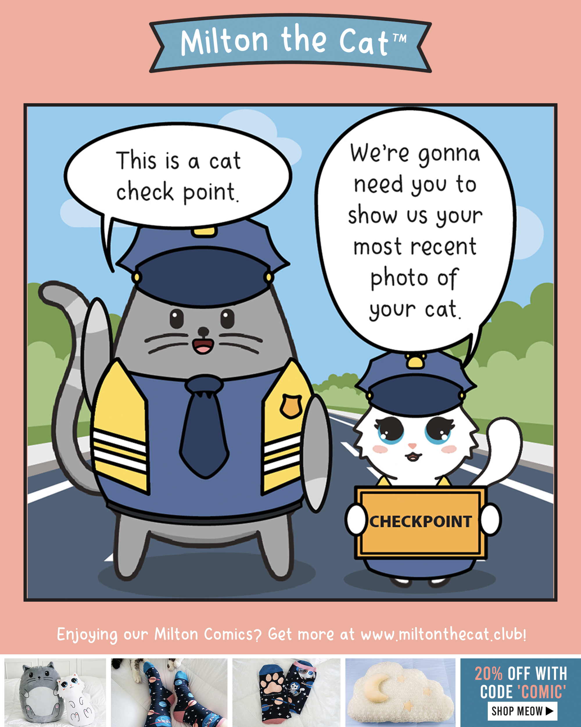 Cat Checkpoint – Meowingtons