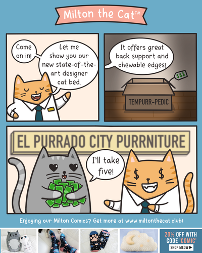 If Cats Owned Furniture Stores