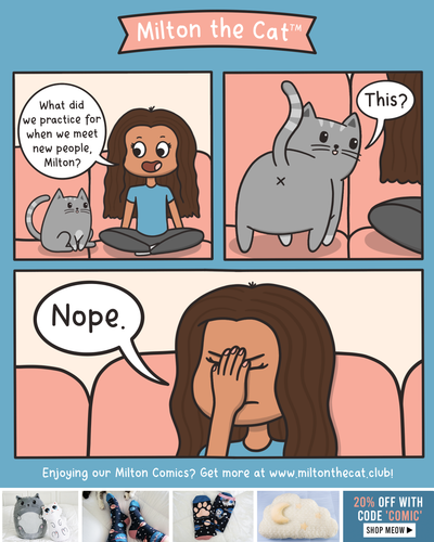 A Kitty Cat Handshake