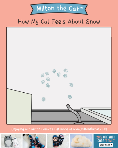 The Cutest "NOPE" Ever