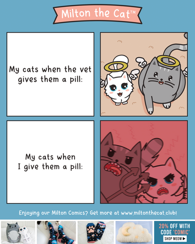 Vets Make It Look So Easy