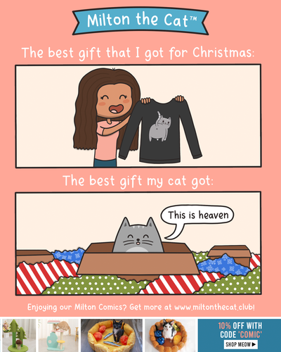 The Day After Christmas