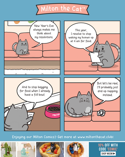 Mew Year's Resolutions