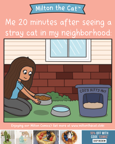 Relatable, Yes or No?