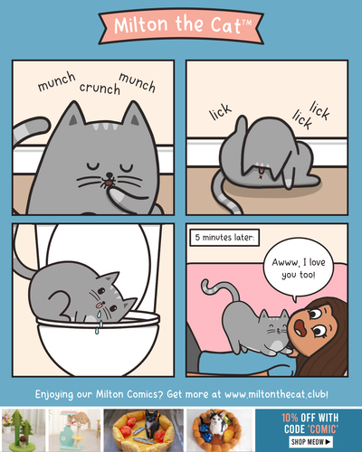 Kitty Kisses