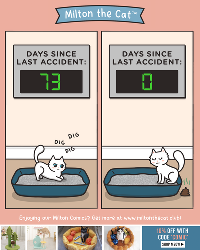 Someone Call MEOWSHA
