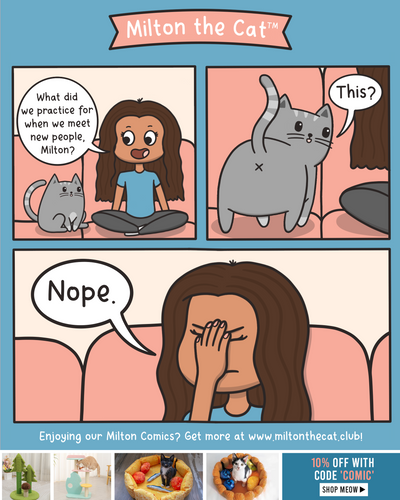 The Kitty Handshake