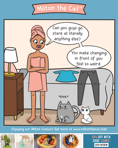 #TBT: What Do Cats Think When We Change Clothes