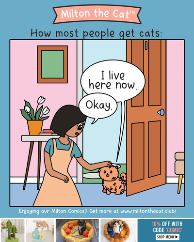 The Cat Distribution System