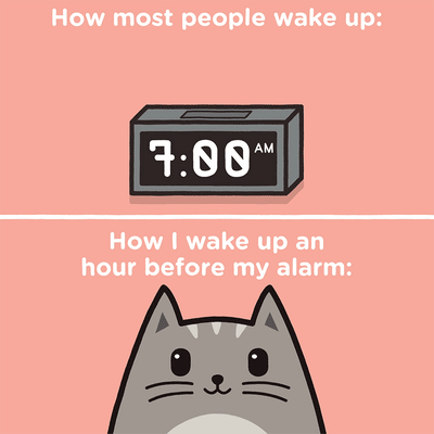 Wakey wakey, where's my tuna steaky?