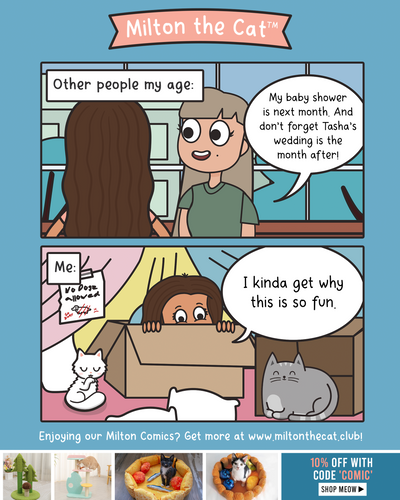 Blanket Forts