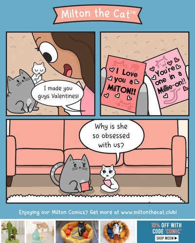 Happy Valentine's Day, Kitties!