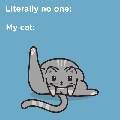Cats at 3am