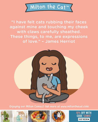 Wednesday Wisdom: Expressions of Love