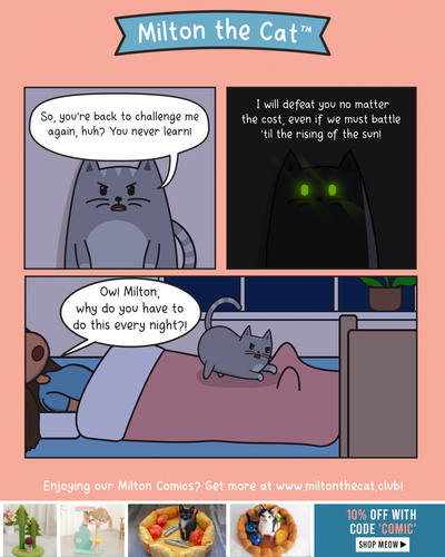 Bedtime Battles