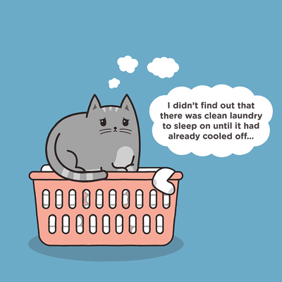 Indoor Cat Problems