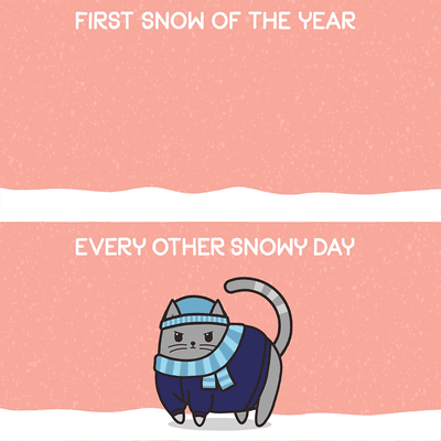 It's Enough SNOW!