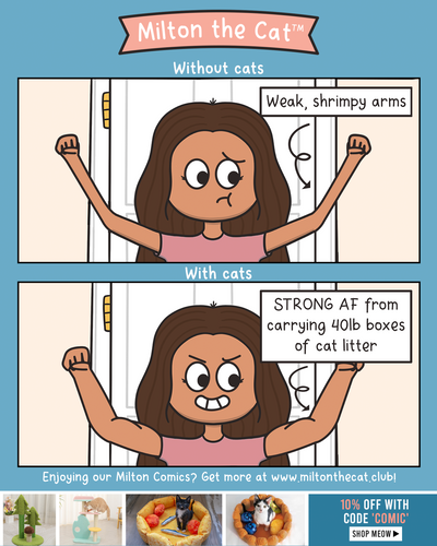 With VS Without Cats: Building Muscle