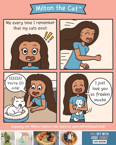 #TBT: When You Remember You Have Cats