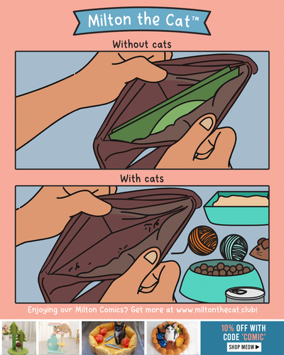 With VS Without Cats: Worth EVERY Penny!