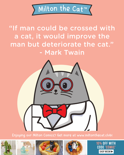 Wednesday Wisdom: Mark Twain