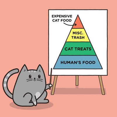 The Food Purramid
