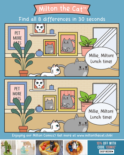 Spot the Difference: Lunch Time