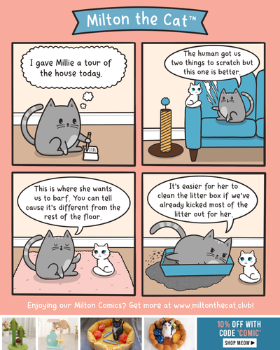 #TBT: Showing Millie The Ropes