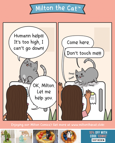 Cat Logic: Swat the hand that helps you.