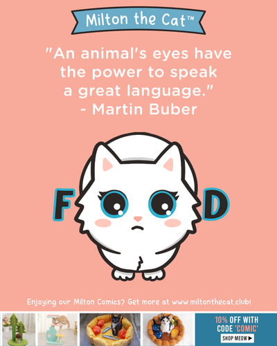 Wednesday Wisdom: Martin Buber