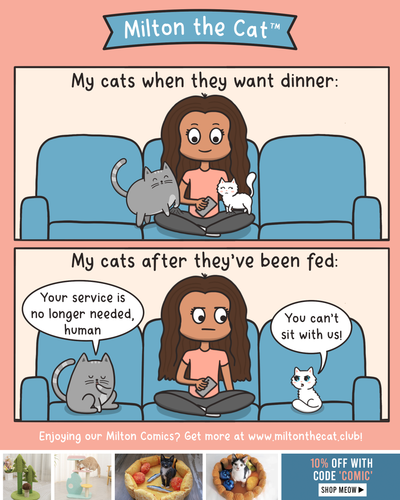 It's an honor and a privilege to be your can opener.