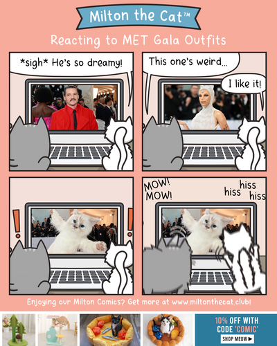 Reacting To Met Gala Outfits