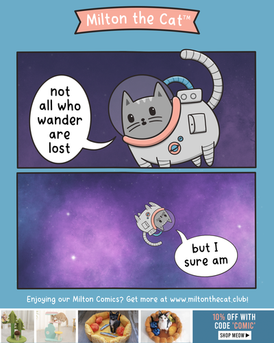 Not All Who Wander Are Lost...