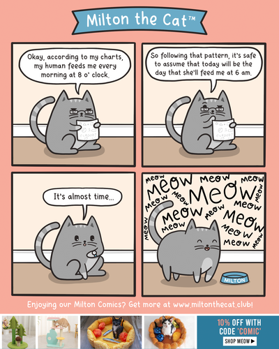 #TBT: Cat-culations