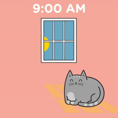 Proof Cats Are Solar Powered