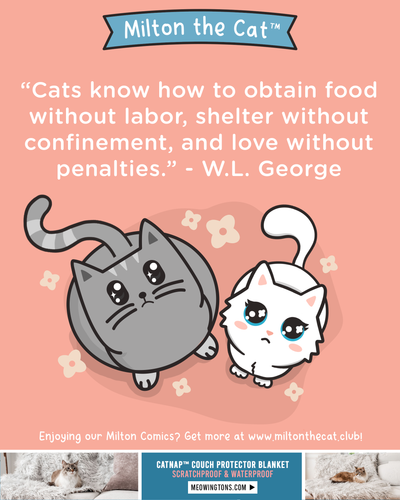 Wednesday Wisdom: