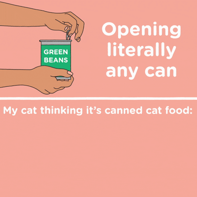 Can Food Confusion