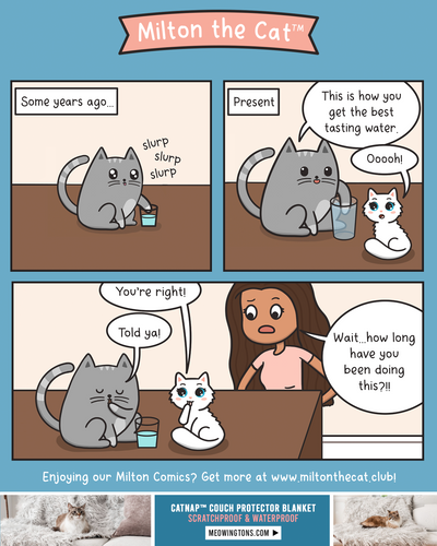 The Tastiest Water