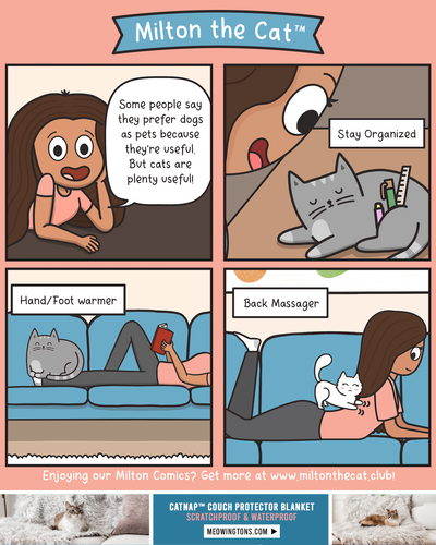 Cats ARE Useful