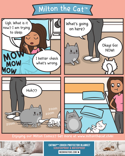 The Ol' Switcheroo