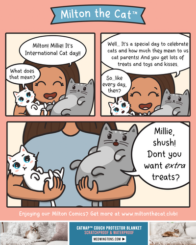 Happy International Cat Day!