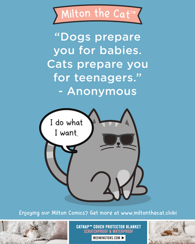Wednesday Wisdom: