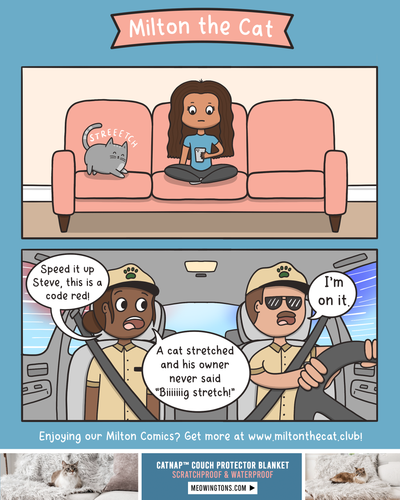 TBT: Legal Obligation