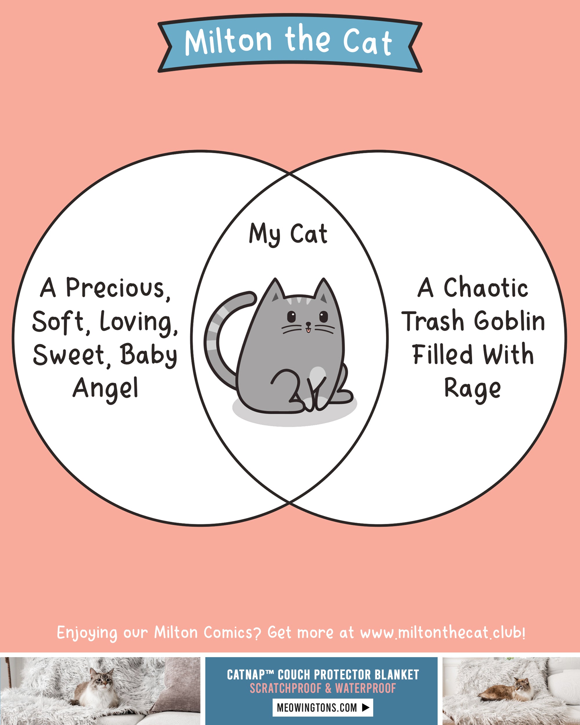 The Best Of Both Worlds Meowingtons The best of both worlds meowingtons