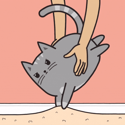 Picking Up a Cat