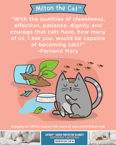 Wednesday Wisdom: