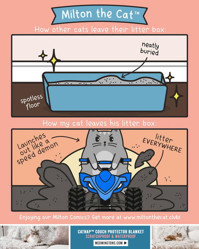 Litter Box Racing