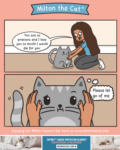TBT: I JUST HAVE A LOT OF FEELINGS, MILTON
